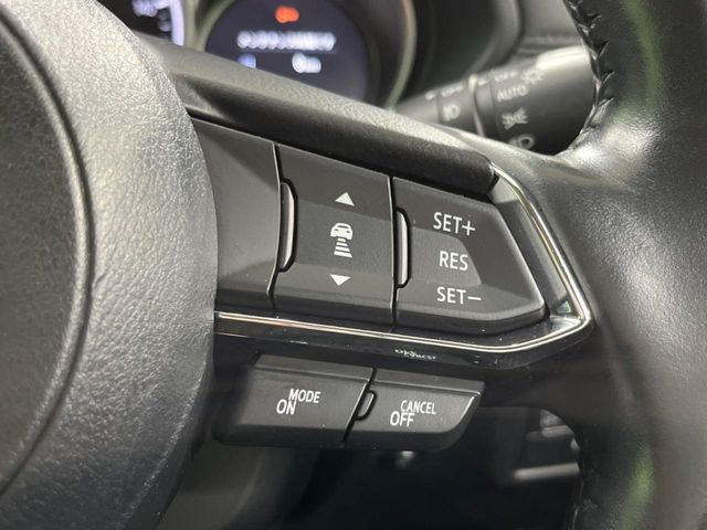 �y�}�c�_�E���[�_�[�N���[�Y�R���g���[���z�������H�ł̒��������s���y��!�����ő��x��ۂN���[�Y�R���g���[�����A�Փˌy���V�X�e���ƘA�g���A�O���̎ԗ������m���ĎԊԂ�ۂ悤�ɑ��x���߂��Ă���܂�!!