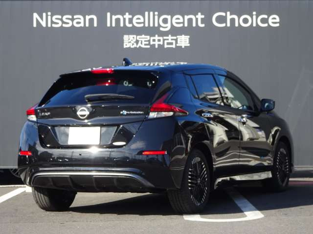 リーフe+ G