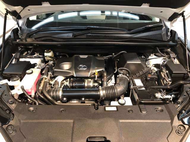 NX300 バージョンL 4WD