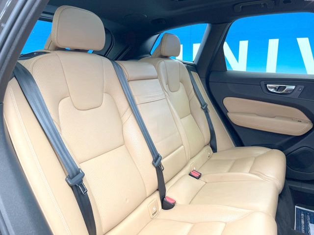 ���㕔���Ȃ��C�ɂȂ�悤�ȃL�Y�E�����ւ��蓙�A�傫�ȃ_���[�W�͂Ȃ��A�ǍD�ȏ�Ԃł��B