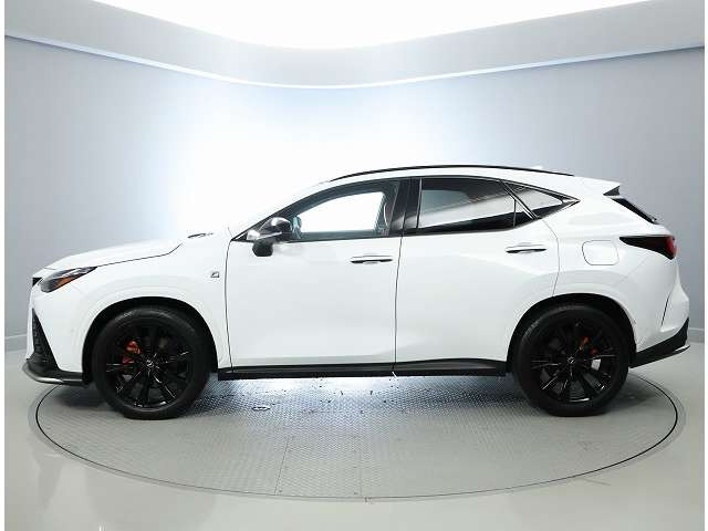 NX350h Fスポーツ