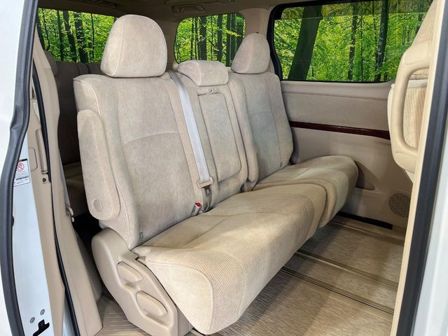 �㕔���Ȃ��C�ɂȂ�悤�ȏ��E�����ւ���ȂǁA�傫�ȃ_���[�W�͂Ȃ��A�ǍD�ȏ�Ԃł��B