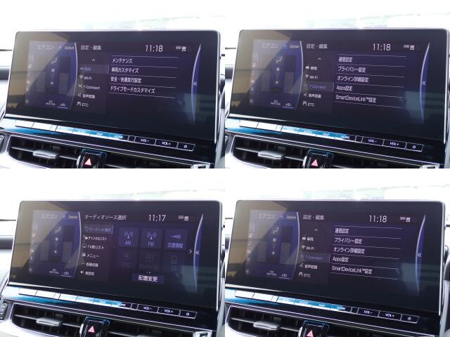 ���[�^�[�p�l�����m�肽����񂪈�ڗđR�ł��ˁB