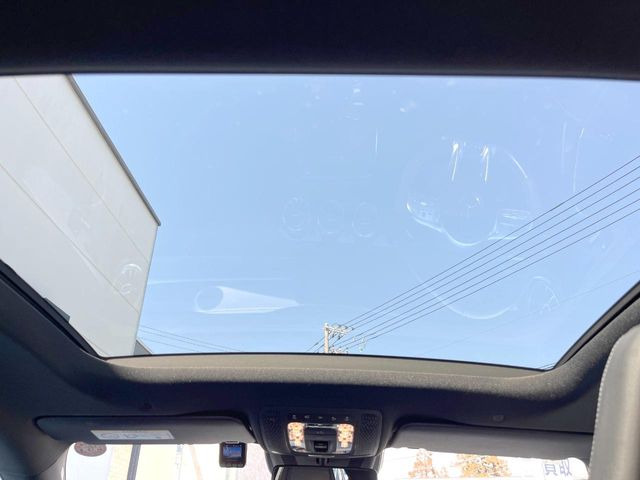 ���p�m���~�b�N�X���C�f�B���O���[�t::�唗�͂̃p�m���}���[�t�́A�㕔���Ȃɂ܂ő����Ă���A�J���I�ȋ�Ԃ����y���݂��������܂��B