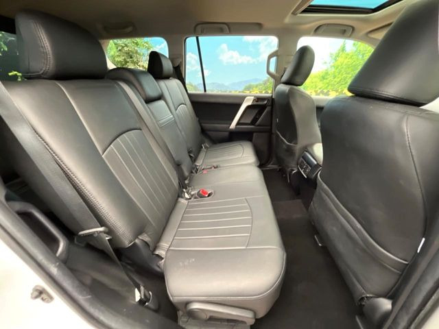 �㕔���Ȃ��C�ɂȂ�悤�ȃL�Y�E�����ւ��蓙�A�傫�ȃ_���[�W�͂Ȃ��A�ǍD�ȏ�Ԃł��B