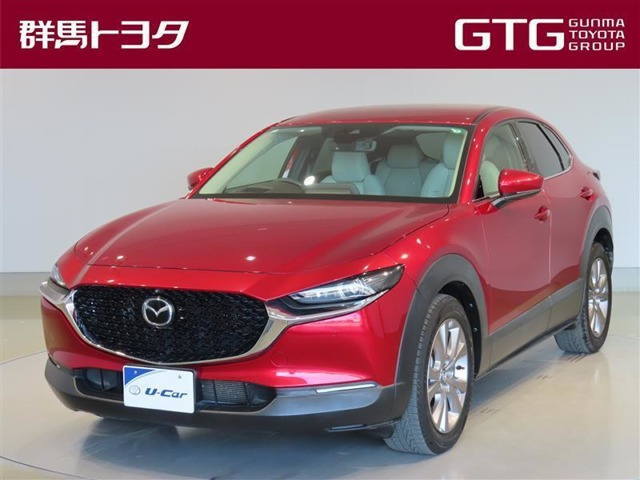 CX-302.0 20S