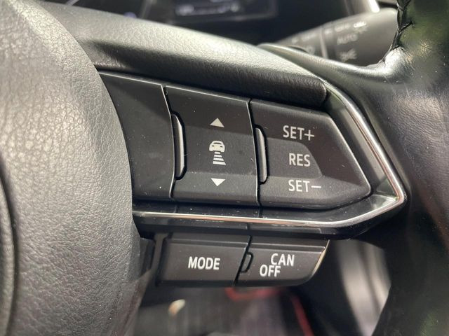 �y�}�c�_�E���[�_�[�N���[�Y�R���g���[���z�������H�ł̒��������s���y��!�����ő��x��ۂN���[�Y�R���g���[�����A�Փˌy���V�X�e���ƘA�g���A�O���̎ԗ������m���ĎԊԂ�ۂ悤�ɑ��x���߂��Ă���܂�!!