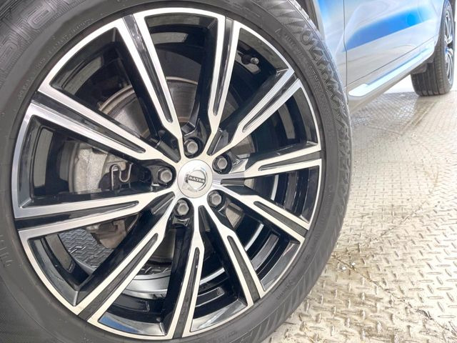 ������19�C���`�A���~�z�C�[��:�A���ԂȂ�ł͂̑�z����������x����z�C�[���Ƒ����ł�!���{�Ԃ̑���Ɋ���Ă�����ɂ����Б̊����Ē��������قǁA�������x���ł܂Ƃ܂��Ă��܂�!