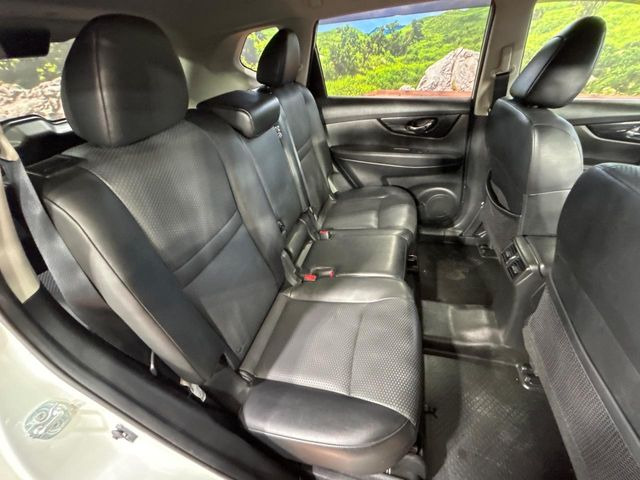 �㕔���Ȃ��C�ɂȂ�悤�ȃL�Y�E�����ւ��蓙�A�傫�ȃ_���[�W�͂Ȃ��A�ǍD�ȏ�Ԃł��B