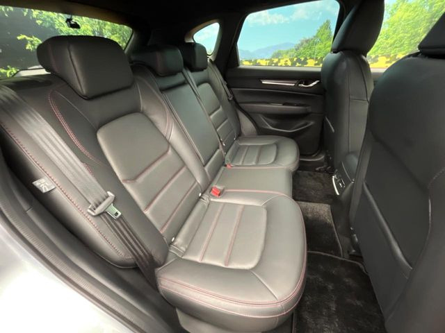 �㕔���Ȃ��C�ɂȂ�悤�ȃL�Y�E�����ւ��蓙�A�傫�ȃ_���[�W�͂Ȃ��A�ǍD�ȏ�Ԃł��B