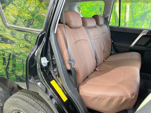 �㕔���Ȃ��C�ɂȂ�悤�ȃL�Y�E�����ւ��蓙�A�傫�ȃ_���[�W�͂Ȃ��A�ǍD�ȏ�Ԃł��B