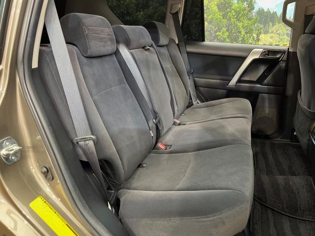 �㕔���Ȃ��C�ɂȂ�悤�ȃL�Y�E�����ւ��蓙�A�傫�ȃ_���[�W�͂Ȃ��A�ǍD�ȏ�Ԃł��B