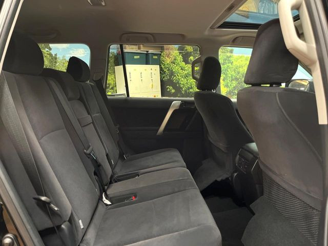 �㕔���Ȃ��C�ɂȂ�悤�ȃL�Y�E�����ւ��蓙�A�傫�ȃ_���[�W�͂Ȃ��A�ǍD�ȏ�Ԃł��B