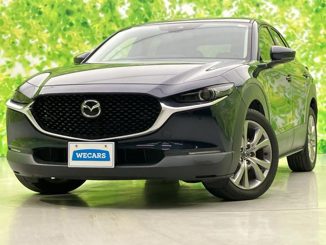 CX-302.0 20S プロアクティブ