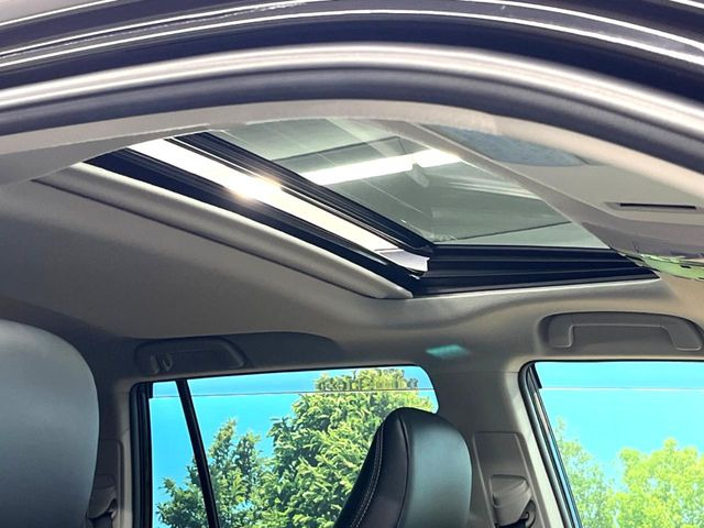 �y�T�����[�t�z�J���������Ղ�̊󏭑����A�T�����[�t����������Ă��܂�!�ԓ��ɖ�����������ꂽ��i�F���y���ވȊO�ɂ��A�ԓ��̋�C���ȒP�Ɋ��C�ł��ĉ��K�ł�!