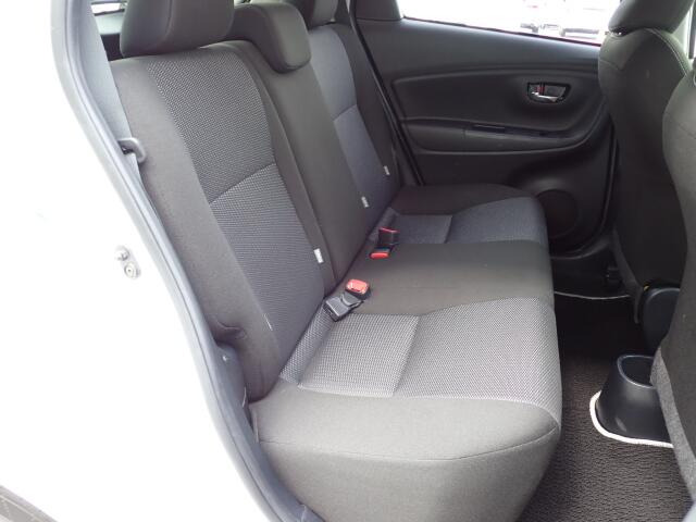 �㕔���Ȃ��傫�ȎC����Ȃ���ԗǍD�ł��B