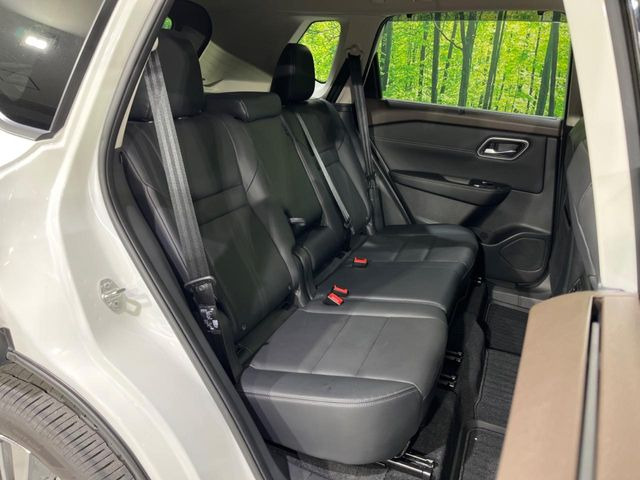 �㕔���Ȃ��C�ɂȂ�悤�ȃL�Y�E�����ւ��蓙�A�傫�ȃ_���[�W�͂Ȃ��A�ǍD�ȏ�Ԃł��B