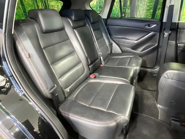 �㕔���Ȃ��C�ɂȂ�悤�ȃL�Y�E�����ւ��蓙�A�傫�ȃ_���[�W�͂Ȃ��A�ǍD�ȏ�Ԃł��B