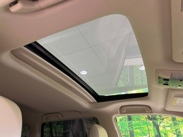 �y�T�����[�t�z�J���������Ղ�̊󏭑����A�T�����[�t����������Ă��܂�!�ԓ��ɖ�����������ꂽ��i�F���y���ވȊO�ɂ��A�ԓ��̋�C���ȒP�Ɋ��C�ł��ĉ��K�ł�!