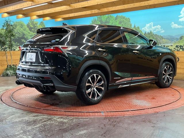 ���S���̃l�N�X�e�[�W���炨���񂹂��\��!�����̓X�܂ɓW�����Ă���N���}���C�ɂȂ�ꍇ���A�Ŋ��̓X�܂ł��������������Ƃ��\�ł�!���񎄂����ɗv�]������������������!���ʓr��p