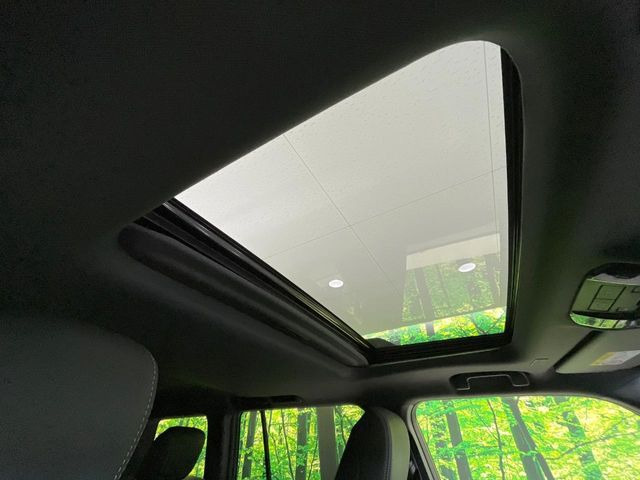 �y�T�����[�t�z�J���������Ղ�̊󏭑����A�T�����[�t����������Ă��܂�!�ԓ��ɖ�����������ꂽ��i�F���y���ވȊO�ɂ��A�ԓ��̋�C���ȒP�Ɋ��C�ł��ĉ��K�ł�!