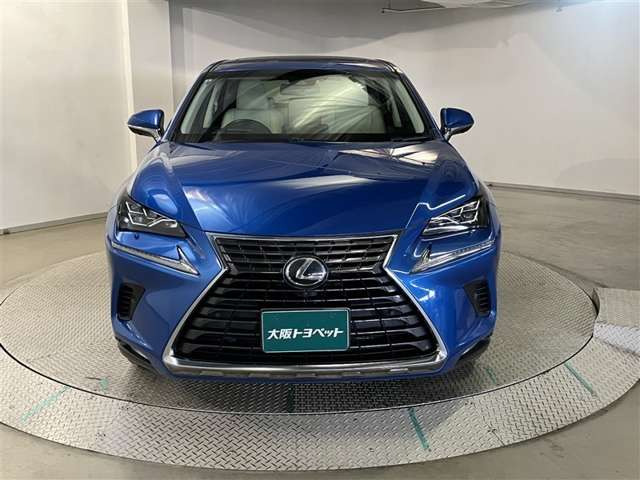 NX300 バージョンL