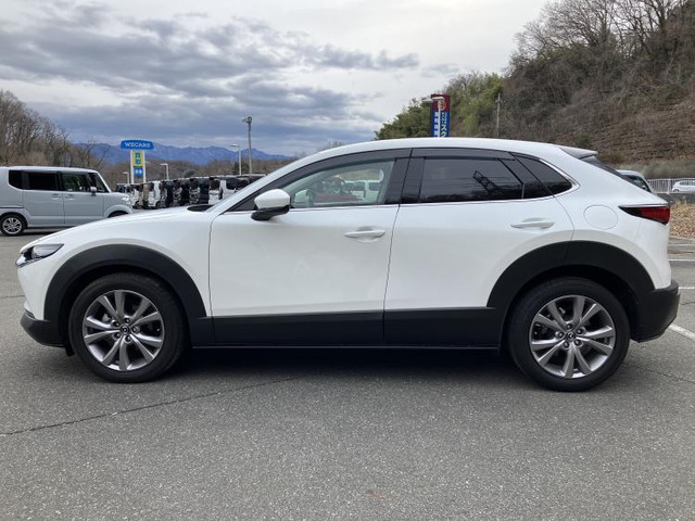 CX-301.8 XD Lパッケージ