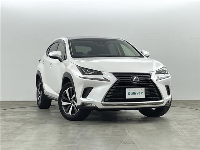 NX300h バージョンL