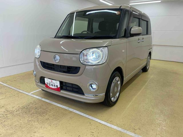 ムーヴキャンバスG メイクアップ SAII