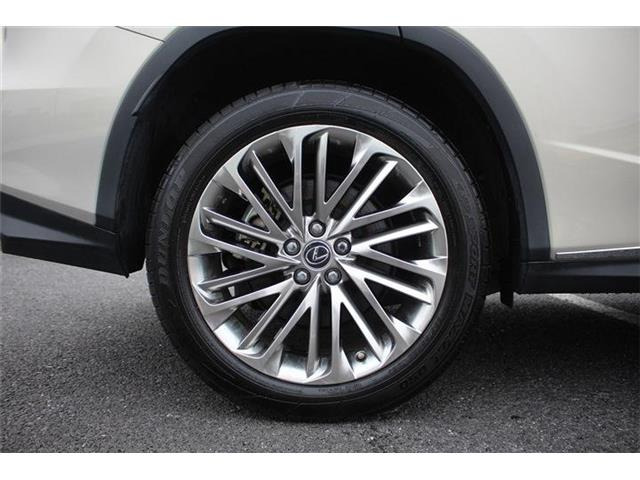 ���Ǝҗl�ւ̔̔��͂��f�肳���Ă��������܂��B�Ԍ������ԗ��̏ꍇ�́A�Ԍ����擾�������x�������z�ŕ\�����Ă���܂��B