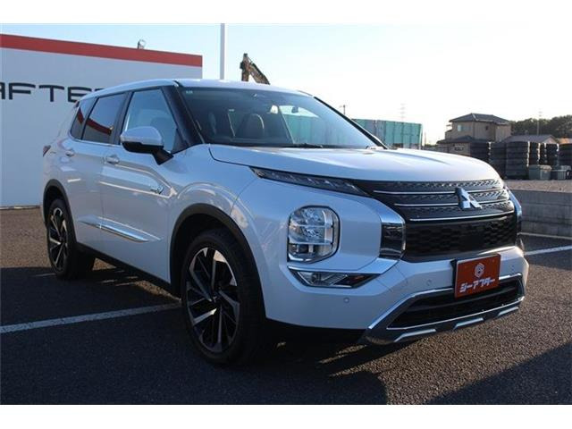 ���Ǝҗl�ւ̔̔��͂��f�肳���Ă��������܂��B�Ԍ������ԗ��̏ꍇ�́A�Ԍ����擾�������x�������z�ŕ\�����Ă���܂��B