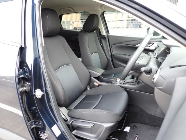 �^�]�Ȃ��傫�ȎC����Ȃ���ԗǍD�ł��B