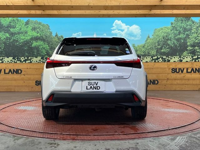 ���S�̍Œ�10�N�E���s�������ۏ�(�L��)�����p�ӁB�ۏؓ��e���[���͂������A�����_��&�I�C��������A�N�����x�̑S���E24���ԃ��[�h�T�[�r�X���t�т���Ă���܂��̂ł����S�������B