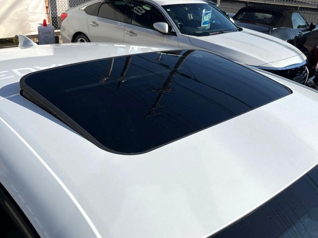 �y���[�����[�t�z�J���������Ղ�̊󏭑����A���[�����[�t����������Ă��܂�!�ԓ��ɖ�����������ꂽ��i�F���y���ވȊO�ɂ��A�ԓ��̋�C���ȒP�Ɋ��C�ł��ĉ��K�ł�!