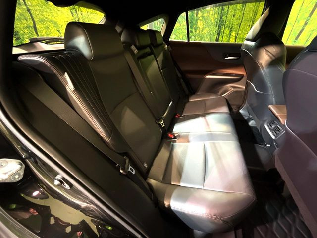 �㕔���Ȃ��C�ɂȂ�悤�ȃL�Y�E�����ւ��蓙�A�傫�ȃ_���[�W�͂Ȃ��A�ǍD�ȏ�Ԃł��B