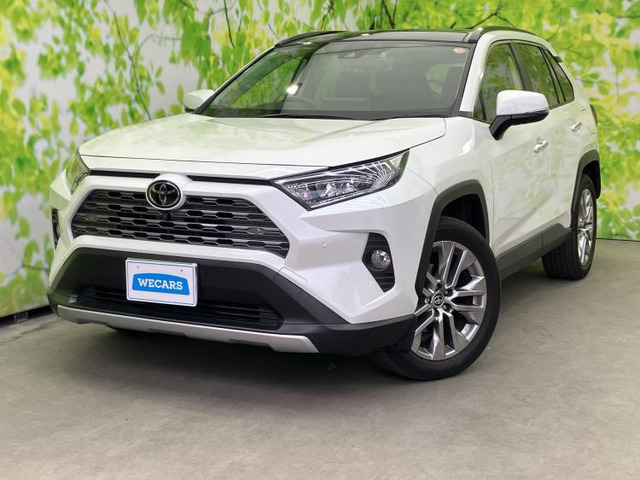RAV42.0 G Zパッケージ 4WD