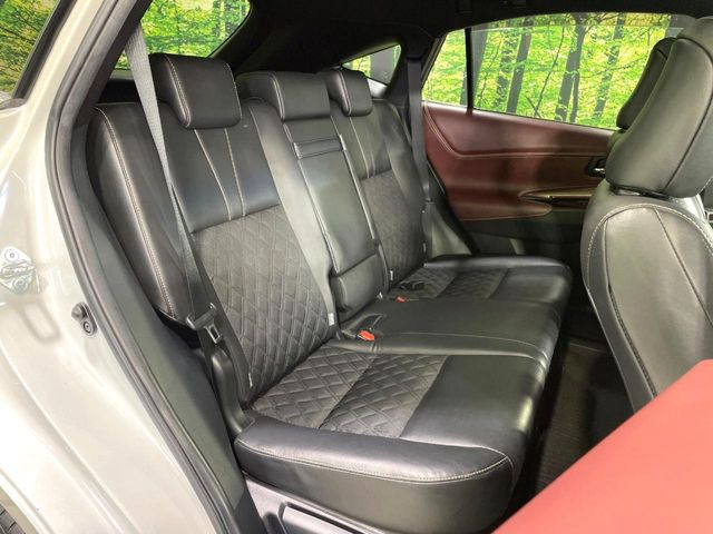 �㕔���Ȃ��C�ɂȂ�悤�ȃL�Y�E�����ւ��蓙�A�傫�ȃ_���[�W�͂Ȃ��A�ǍD�ȏ�Ԃł��B