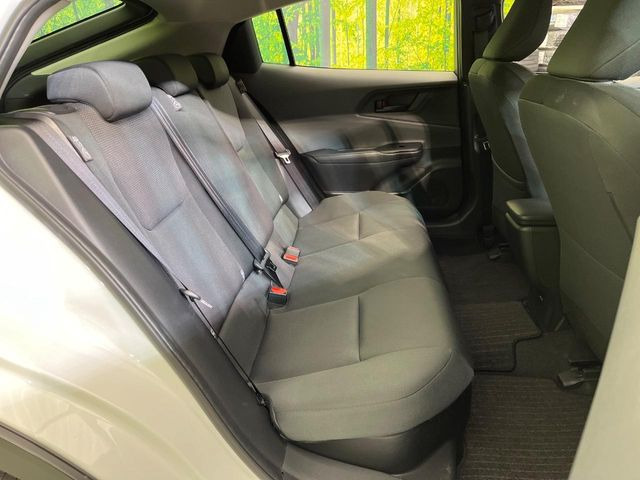 �㕔���Ȃ��C�ɂȂ�悤�ȃL�Y�E�����ւ��蓙�A�傫�ȃ_���[�W�͂Ȃ��A�ǍD�ȏ�Ԃł��B