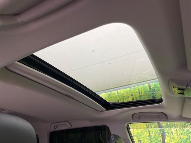 �y�T�����[�t�z�J���������Ղ�̊󏭑����A�T�����[�t����������Ă��܂�!�ԓ��ɖ�����������ꂽ��i�F���y���ވȊO�ɂ��A�ԓ��̋�C���ȒP�Ɋ��C�ł��ĉ��K�ł�!