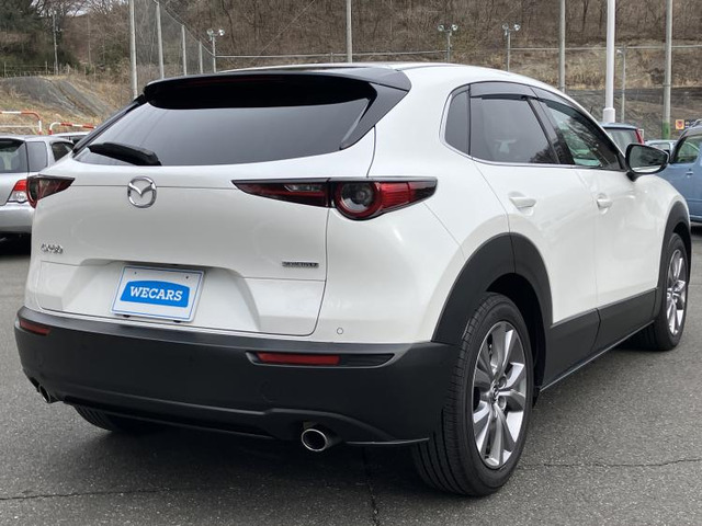 CX-301.8 XD Lパッケージ