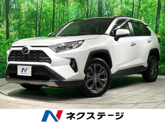 RAV4(トヨタ) 2.0 G 4WD 中古車画像
