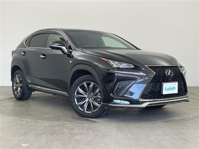 NX300h Fスポーツ