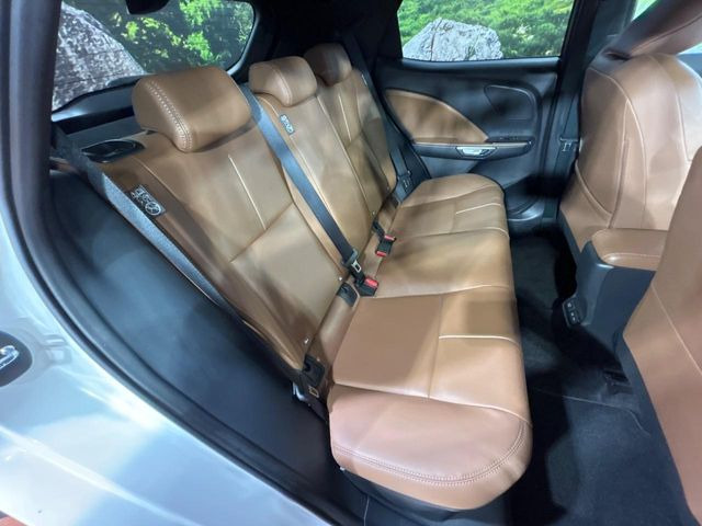 �㕔���Ȃ��C�ɂȂ�悤�ȃL�Y�E�����ւ��蓙�A�傫�ȃ_���[�W�͂Ȃ��A�ǍD�ȏ�Ԃł��B