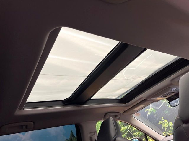 �y�T�����[�t�z�J���������Ղ�̊󏭑����A�T�����[�t����������Ă��܂�!�ԓ��ɖ�����������ꂽ��i�F���y���ވȊO�ɂ��A�ԓ��̋�C���ȒP�Ɋ��C�ł��ĉ��K�ł�!