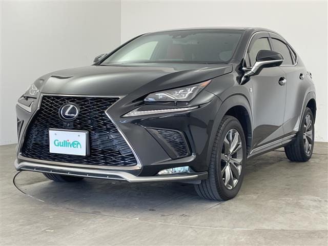 NX300h Fスポーツ