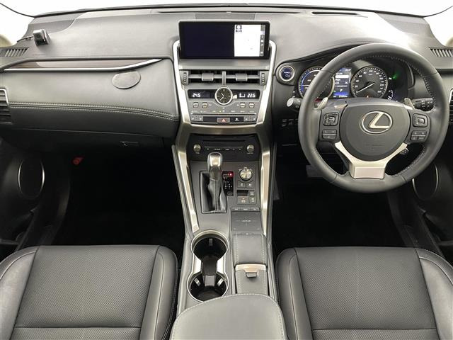 NX300h バージョンL