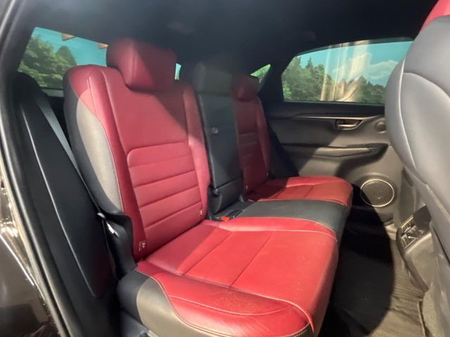 �㕔���Ȃ��C�ɂȂ�悤�ȃL�Y�E�����ւ��蓙�A�傫�ȃ_���[�W�͂Ȃ��A�ǍD�ȏ�Ԃł��B