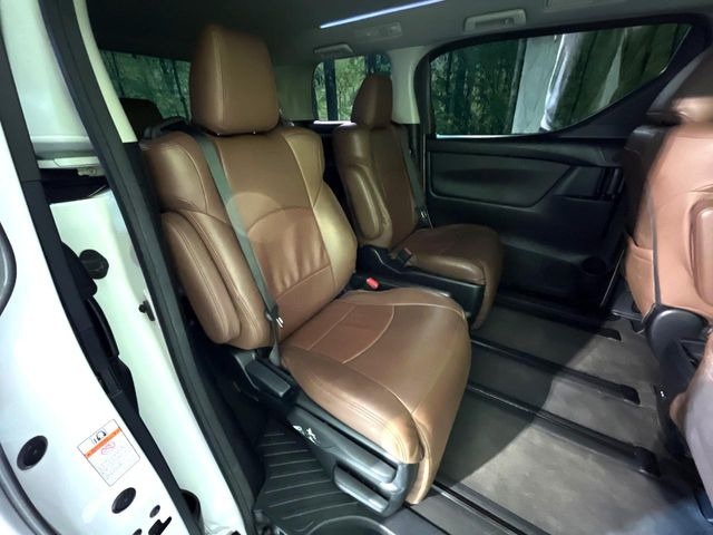 �㕔���Ȃ��C�ɂȂ�悤�ȃL�Y�E�����ւ��蓙�A�傫�ȃ_���[�W�͂Ȃ��A�ǍD�ȏ�Ԃł��B