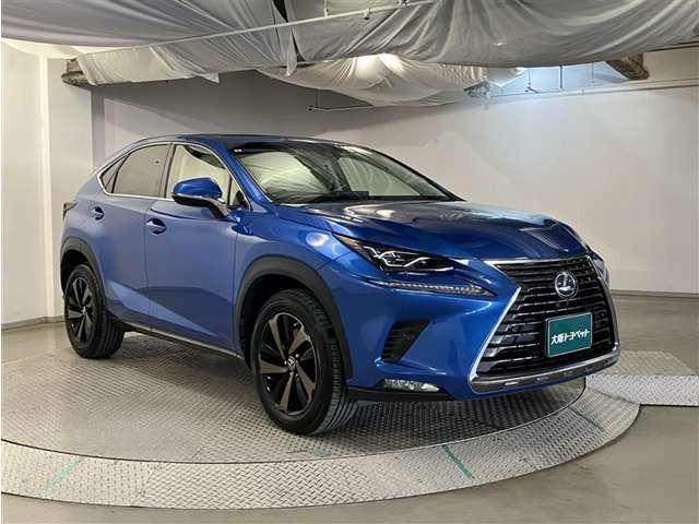 NX300 バージョンL