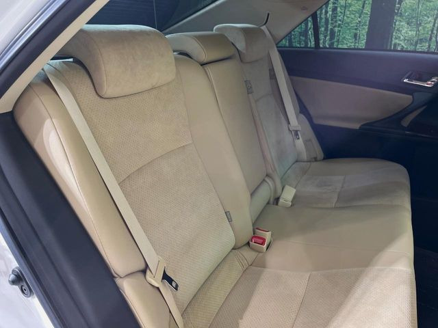 �㕔���Ȃ��C�ɂȂ�悤�ȃL�Y�E�����ւ��蓙�A�傫�ȃ_���[�W�͂Ȃ��A�ǍD�ȏ�Ԃł��B